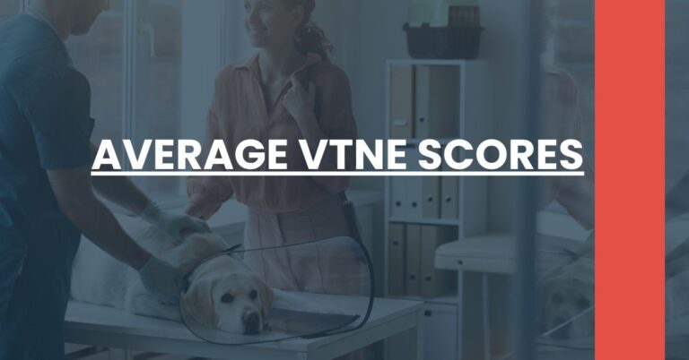 Average VTNE Scores Feature Image