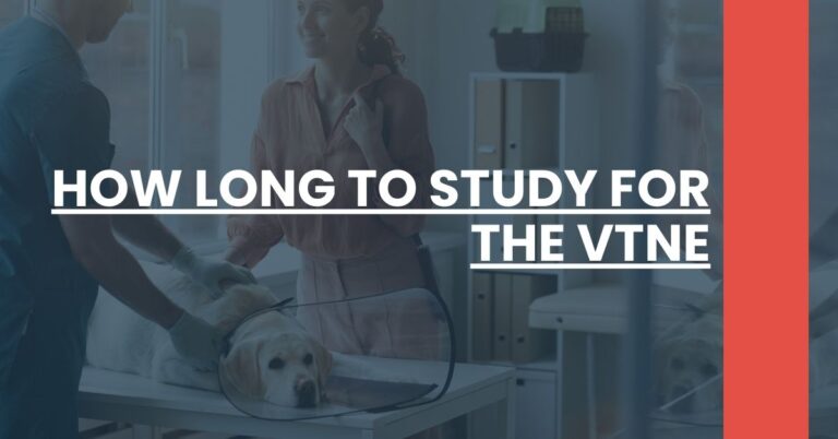 How Long To Study For The VTNE Feature Image