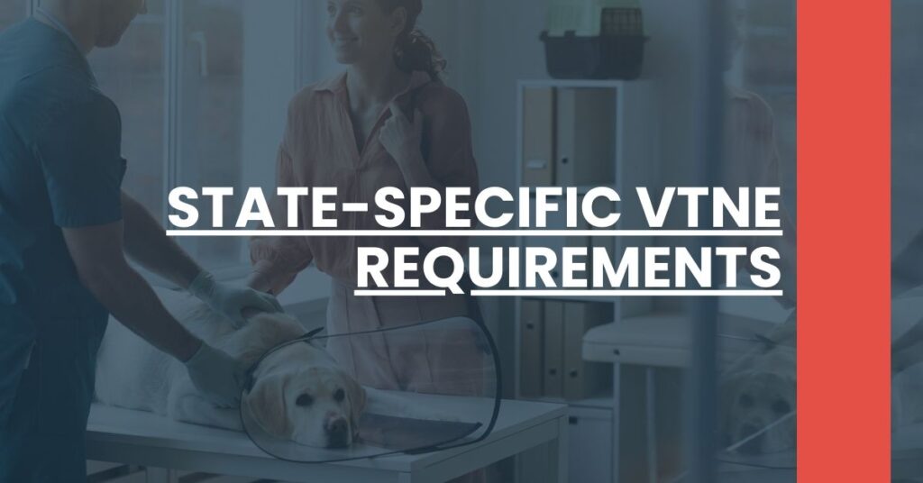 State-Specific VTNE Requirements Feature Image