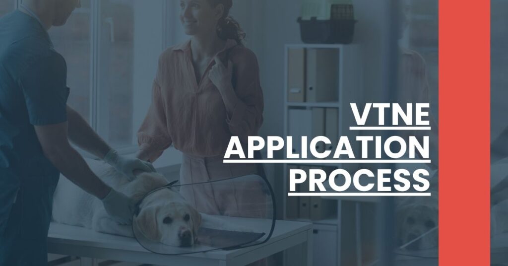 VTNE Application Process Feature Image