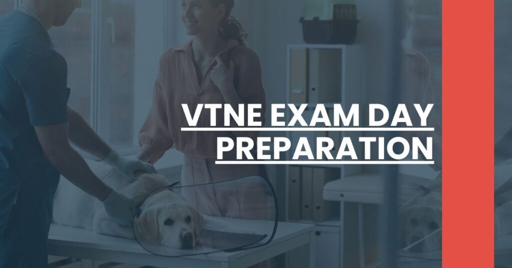 VTNE Exam Day Preparation Feature Image