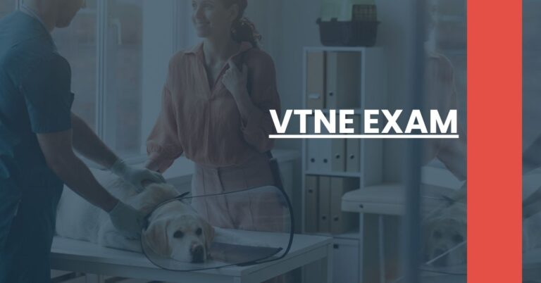 VTNE Exam Feature Image