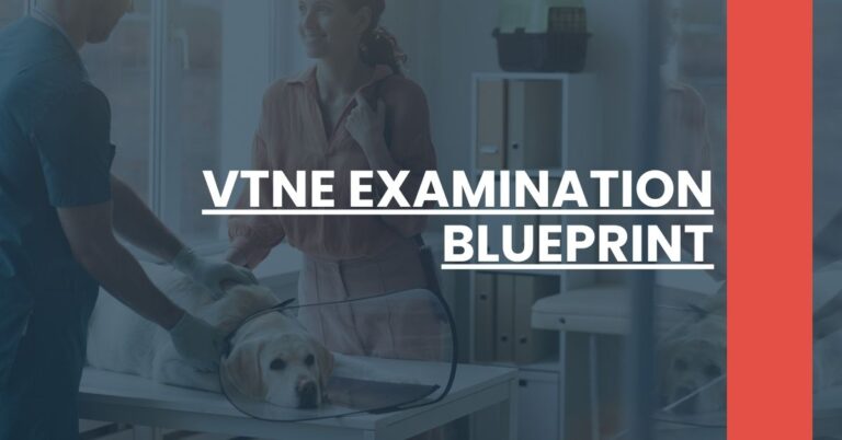 VTNE Examination Blueprint Feature Image