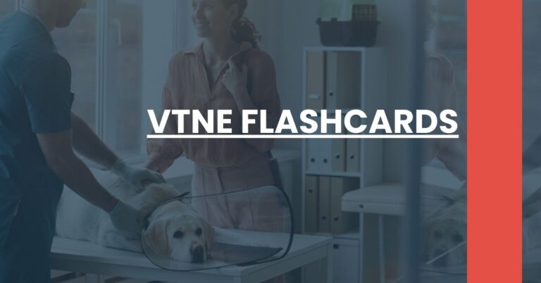VTNE Flashcards Feature Image