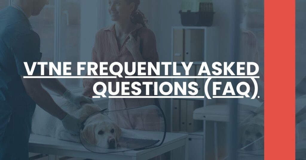 VTNE Frequently Asked Questions (FAQ) Feature Image