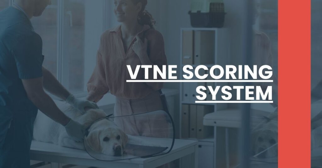 VTNE Scoring System Feature Image