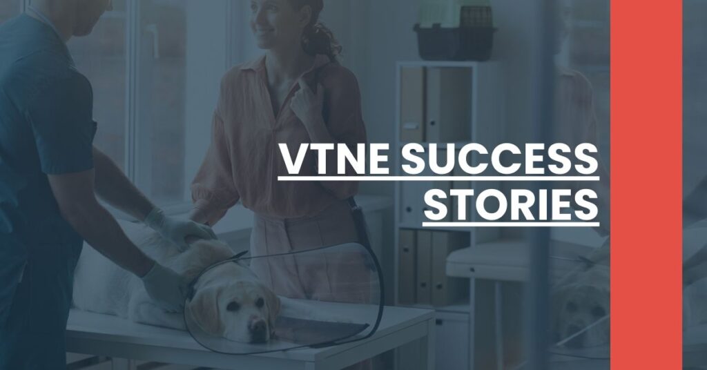 VTNE Success Stories Feature Image