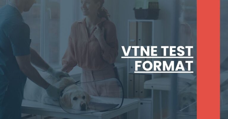 VTNE Test Format Feature Image