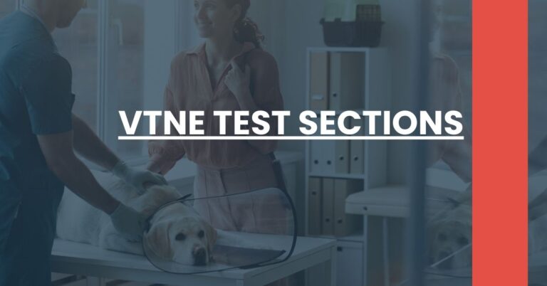 VTNE Test Sections Feature Image