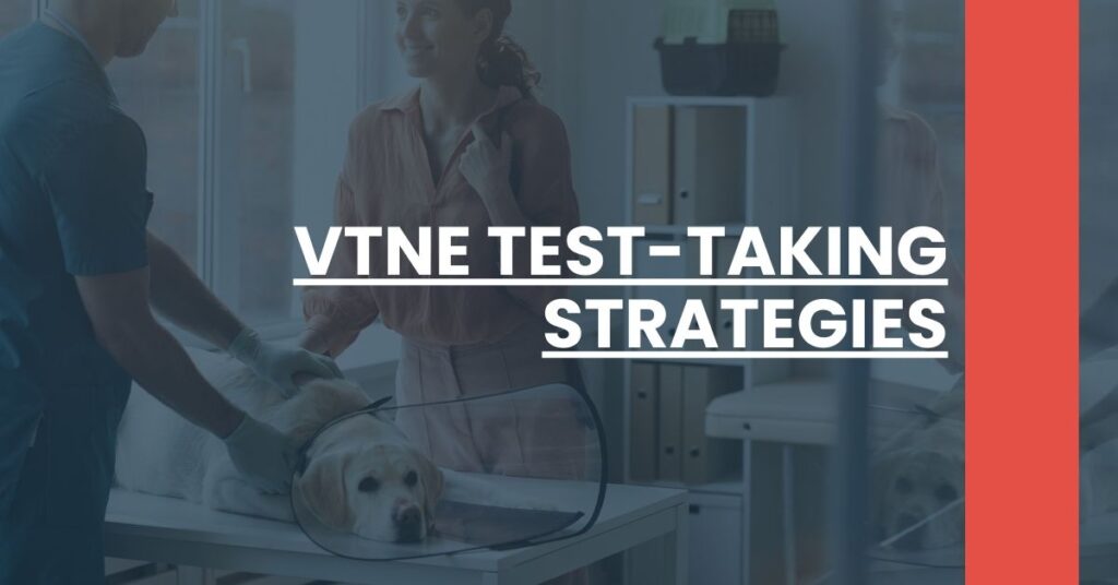 VTNE Test-Taking Strategies Feature Image